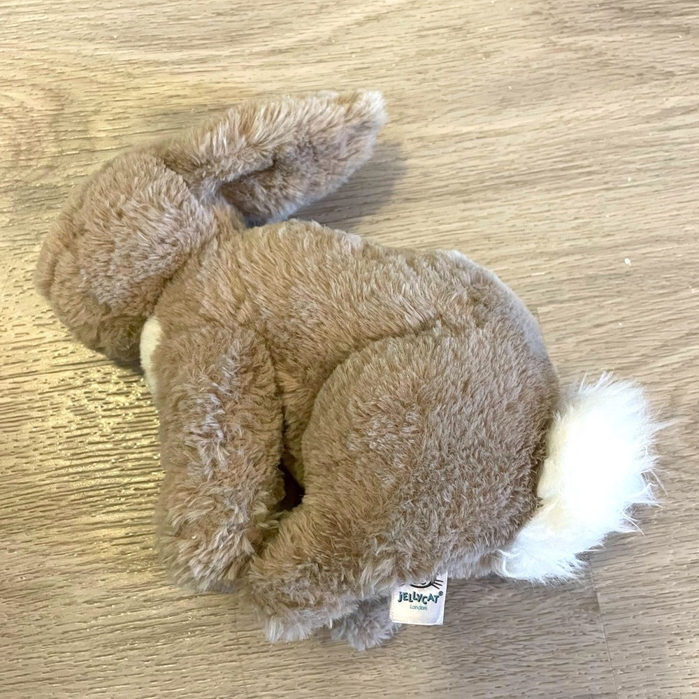 JELLYCAT Riley Bunny Rabbit Soft Plush Toy (Retired). - Picture 4 of 7